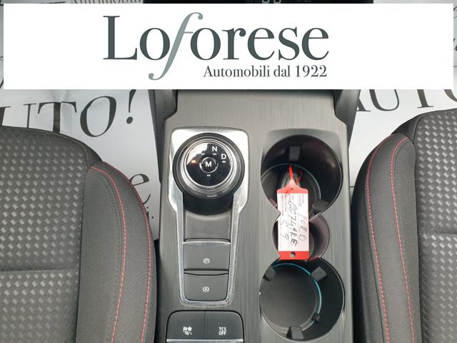 FORD Focus usata, con Fendinebbia