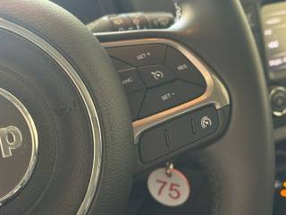 JEEP Renegade usata, con Servosterzo