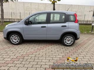 FIAT Panda usata, con Antifurto