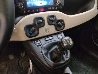 FIAT Panda usata, con Controllo trazione