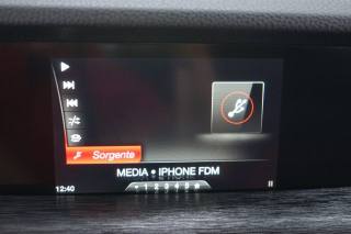 ALFA ROMEO Stelvio usata, con Immobilizzatore elettronico