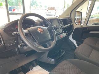 FIAT Ducato usata, con ESP