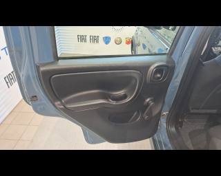 FIAT New Panda usata 18