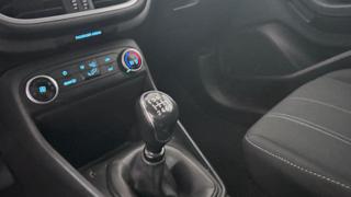 FORD Fiesta usata 12