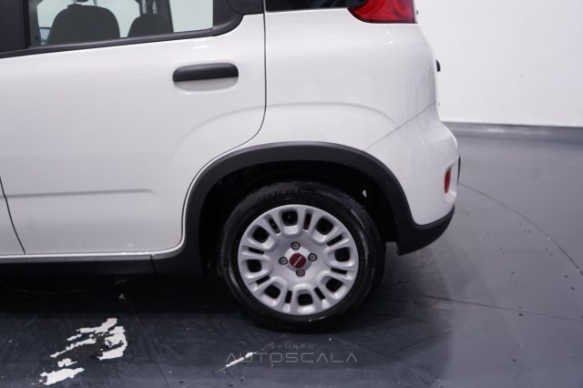 FIAT New Panda usata 25