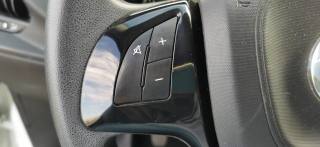 FIAT Doblo usata 26