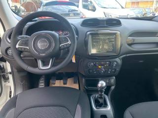 JEEP Renegade usata, con Volante in pelle