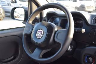 FIAT Panda usata 12