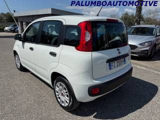 FIAT Panda usata, con Autoradio