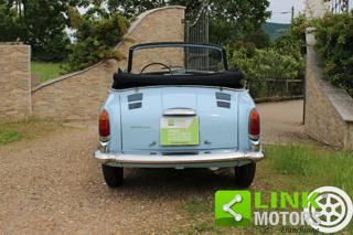AUTOBIANCHI Bianchina usata 16