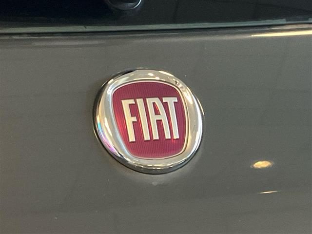 FIAT 500 usata 18
