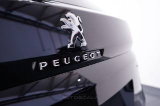 PEUGEOT 3008 usata 31