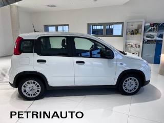 FIAT Panda usata, con Boardcomputer