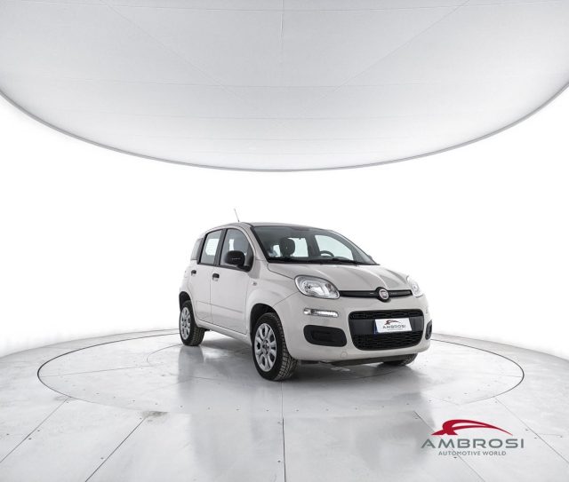 FIAT Panda usata 1