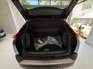 PEUGEOT 2008 usata, con Sistema lavafari