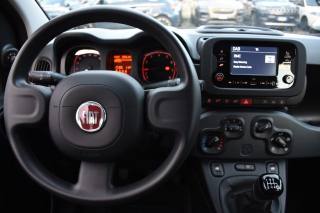 FIAT Panda usata, con Climatizzatore
