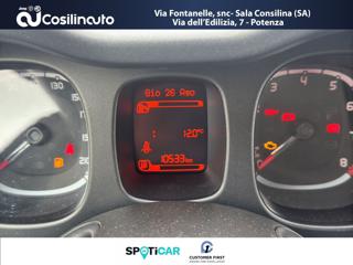 FIAT Panda usata, con Volante multifunzione