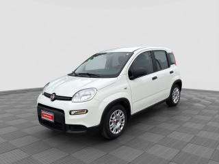 FIAT Panda PANDA 1.0 FireFly S&S Hybrid
