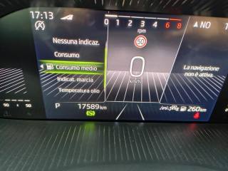 SKODA Kamiq usata, con Fendinebbia