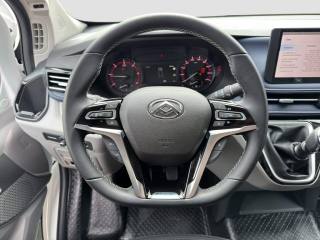 MAXUS Other usata 10