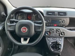 FIAT Panda usata, con Immobilizzatore elettronico