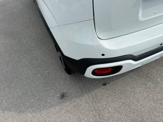 FIAT Panda Cross usata, con Controllo trazione