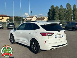 FORD Kuga usata, con Cronologia tagliandi
