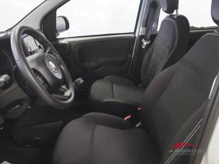 FIAT Panda usata 8