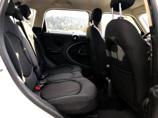 MINI Countryman usata, con Luce d