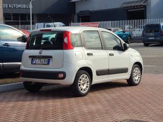 FIAT Panda usata, con Airbag