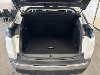 PEUGEOT 3008 usata, con Park Distance Control