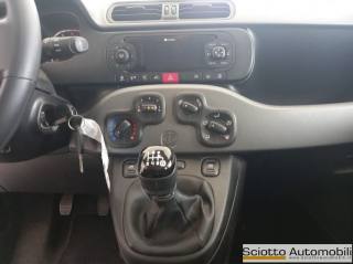 FIAT Panda usata 15