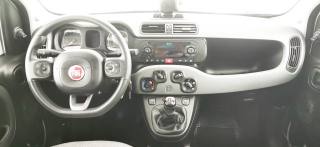 FIAT Panda usata, con Controllo trazione