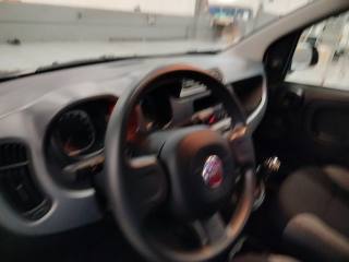 FIAT Panda usata 15