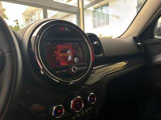 MINI Countryman usata, con Controllo vocale