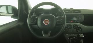 FIAT Panda usata 30