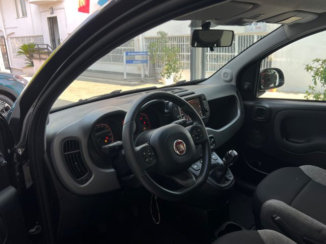 FIAT Panda usata 35