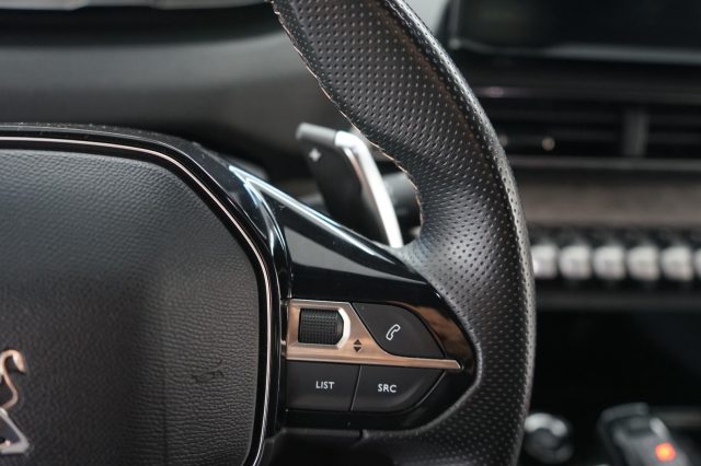 PEUGEOT 3008 usata 36