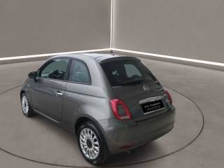 FIAT 500 usata 3