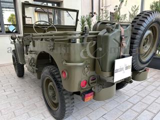 JEEP Willys usata 12