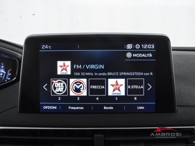 PEUGEOT 3008 usata 13