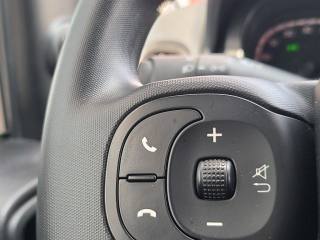 FIAT Panda Cross usata, con Vetri oscurati