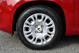 FIAT Panda usata, con Cruise Control