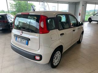 FIAT Panda usata, con Chiusura centralizzata
