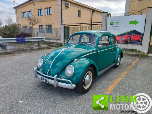 VOLKSWAGEN Maggiolino usata 0