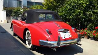 JAGUAR XK usata 1