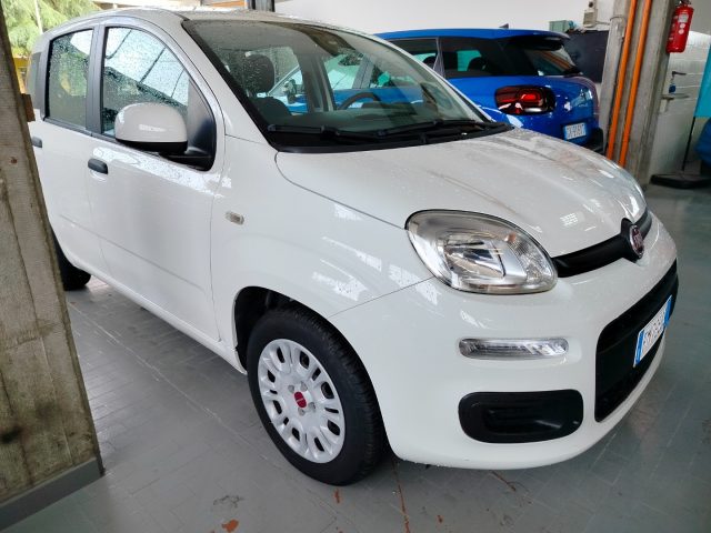 FIAT Panda usata, con Servosterzo