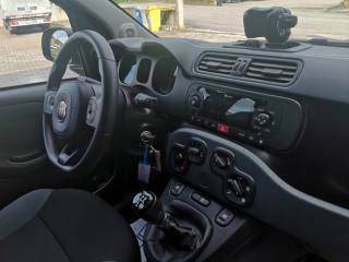FIAT Panda usata, con Vivavoce