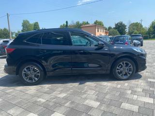 FORD Kuga usata, con Alzacristalli elettrici