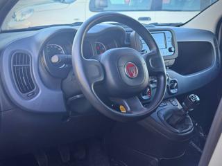 FIAT Panda usata, con USB